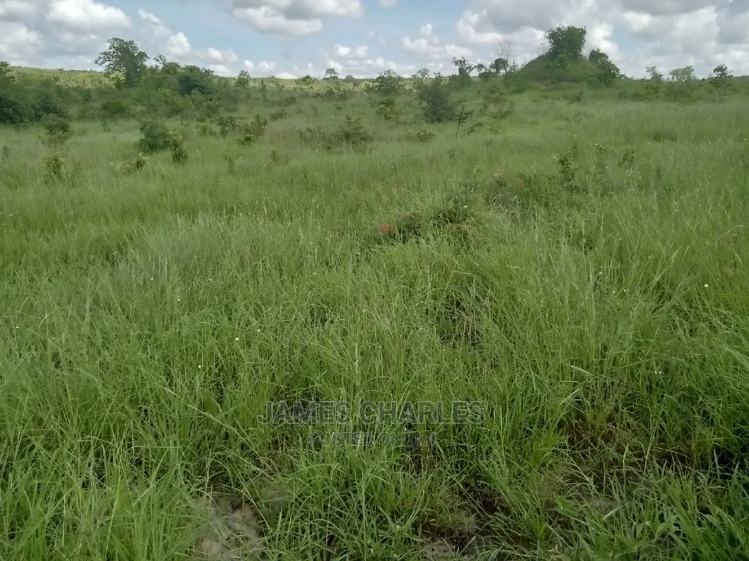 Kiwanja Kinauzwa