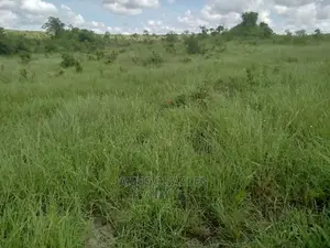 Kiwanja Kinauzwa