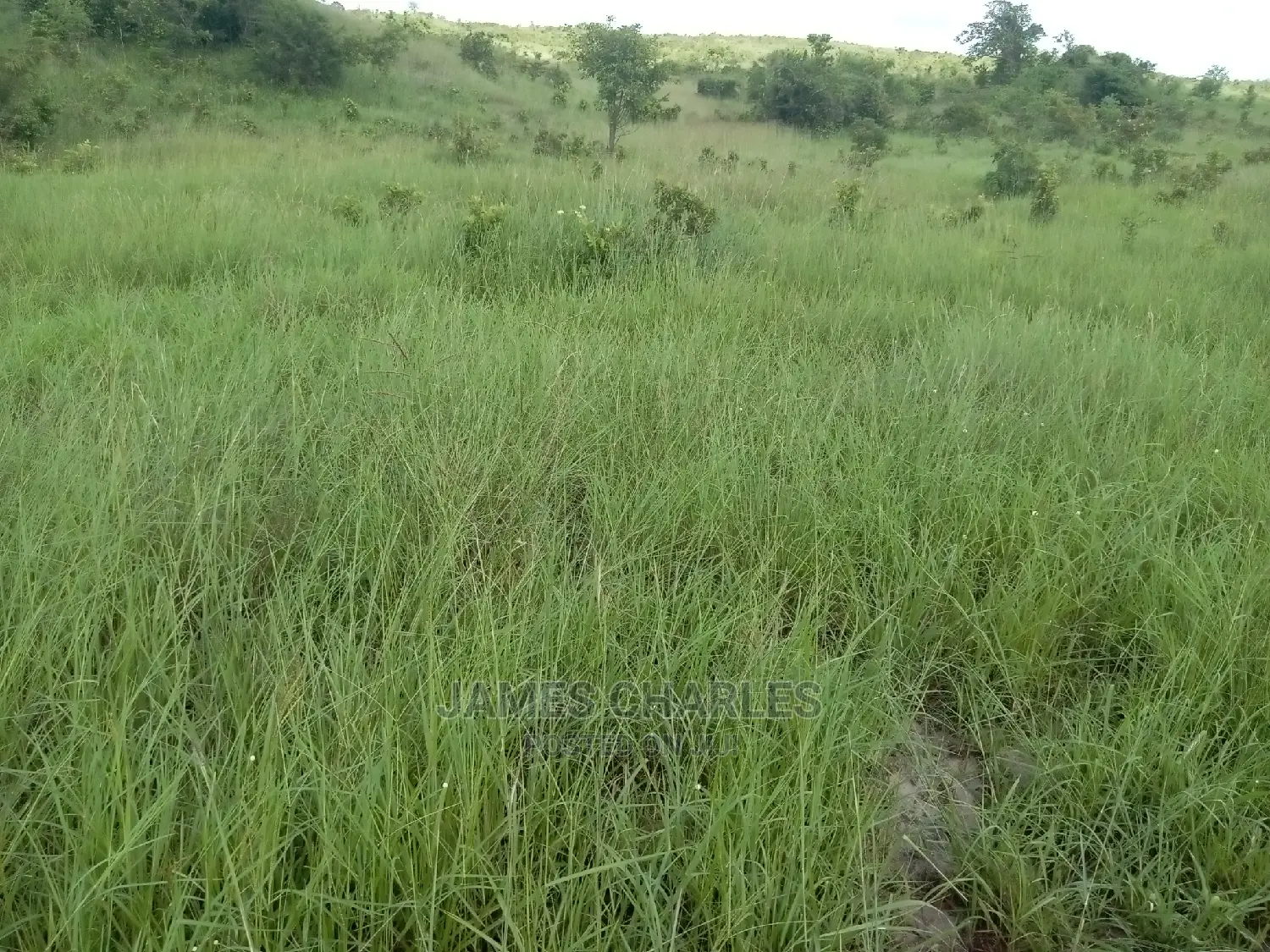 Kiwanja Kinauzwa