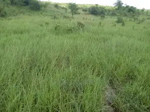 Kiwanja Kinauzwa