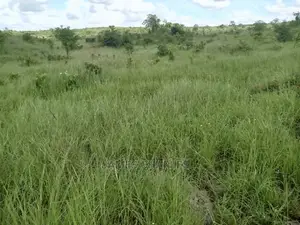 Kiwanja Kinauzwa