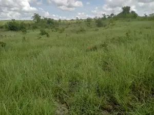 Kiwanja Kinauzwa
