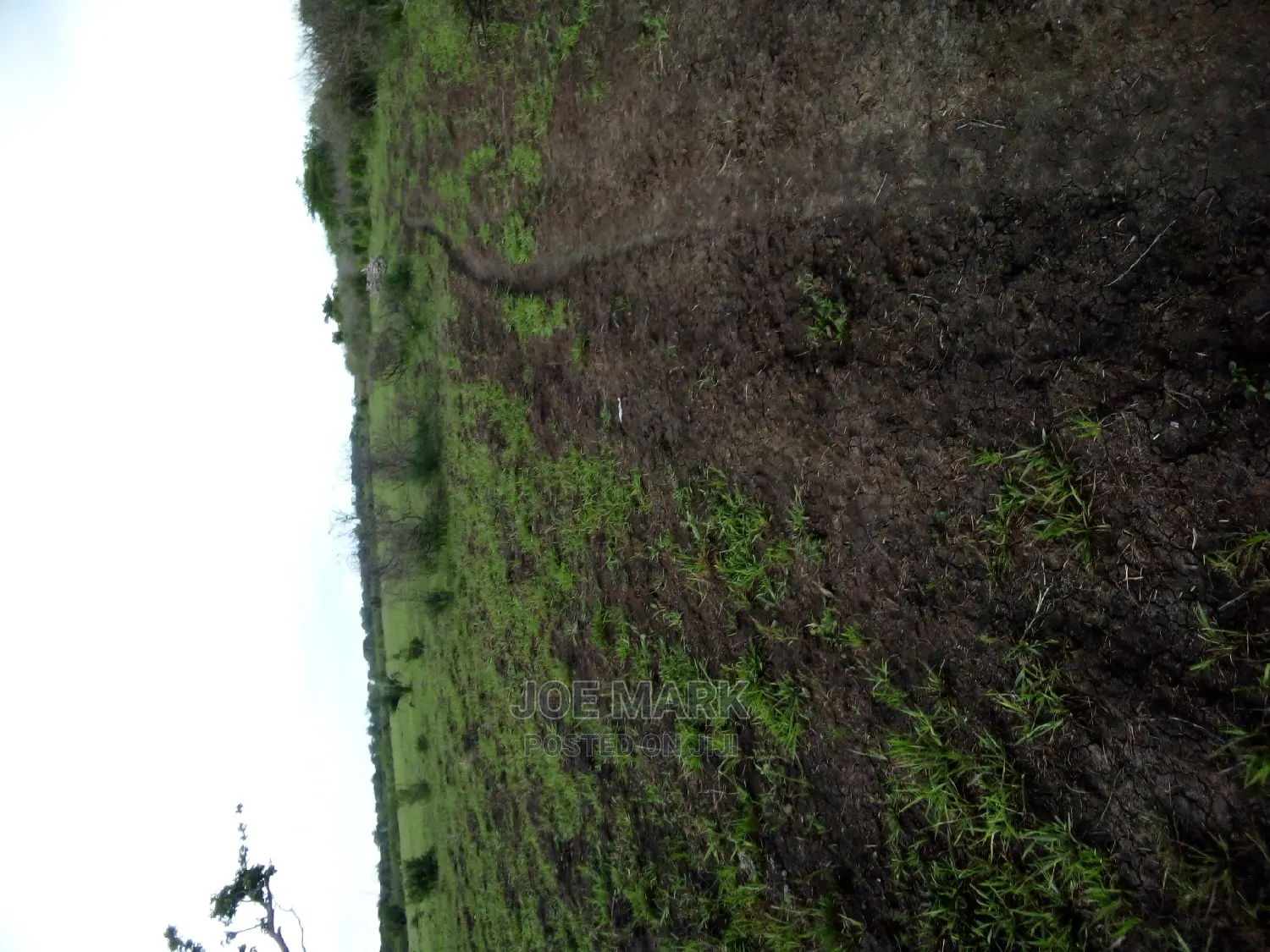 Shamba Linauzwa Ruvu Milo