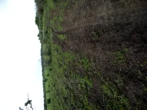 Shamba Linauzwa Ruvu Milo