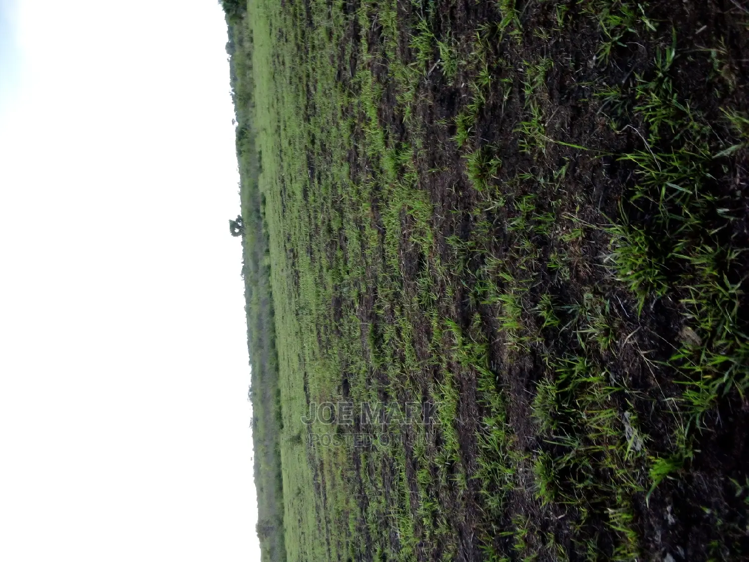 Shamba Linauzwa Ruvu Milo