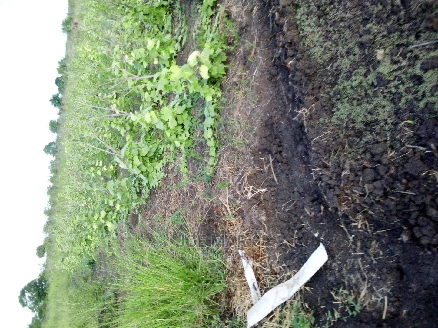 Shamba Linauzwa Ruvu Milo