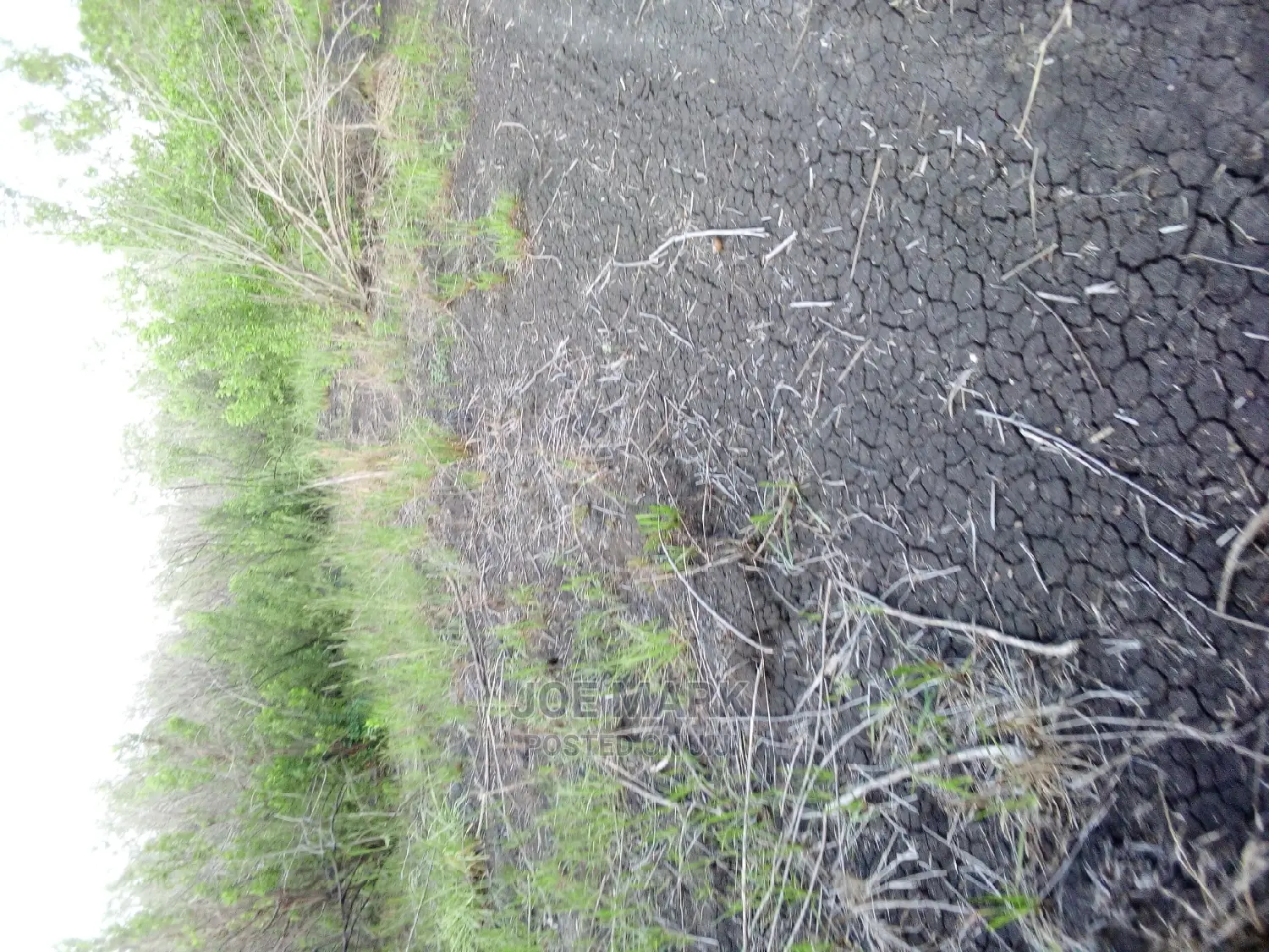 Shamba Linauzwa Ruvu Milo