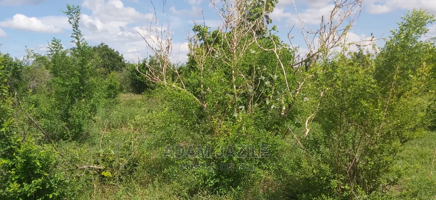 Shamba La Ekari 300 Linauzwa Kiwangwa