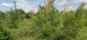 Shamba La Ekari 300 Linauzwa Kiwangwa