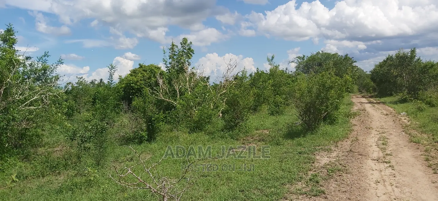Shamba La Ekari 300 Linauzwa Kiwangwa