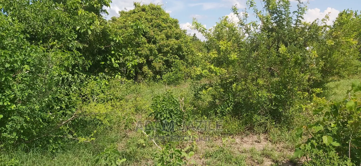 Shamba La Ekari 300 Linauzwa Kiwangwa