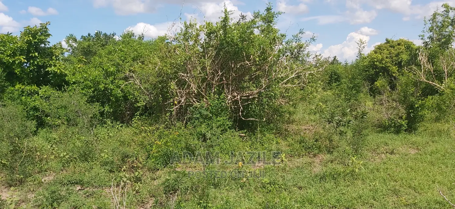 Shamba La Ekari 300 Linauzwa Kiwangwa