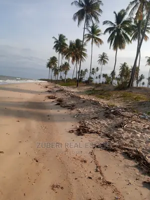Mafui - Mkwaja Beach Plot for Sale Near Saadani Park.