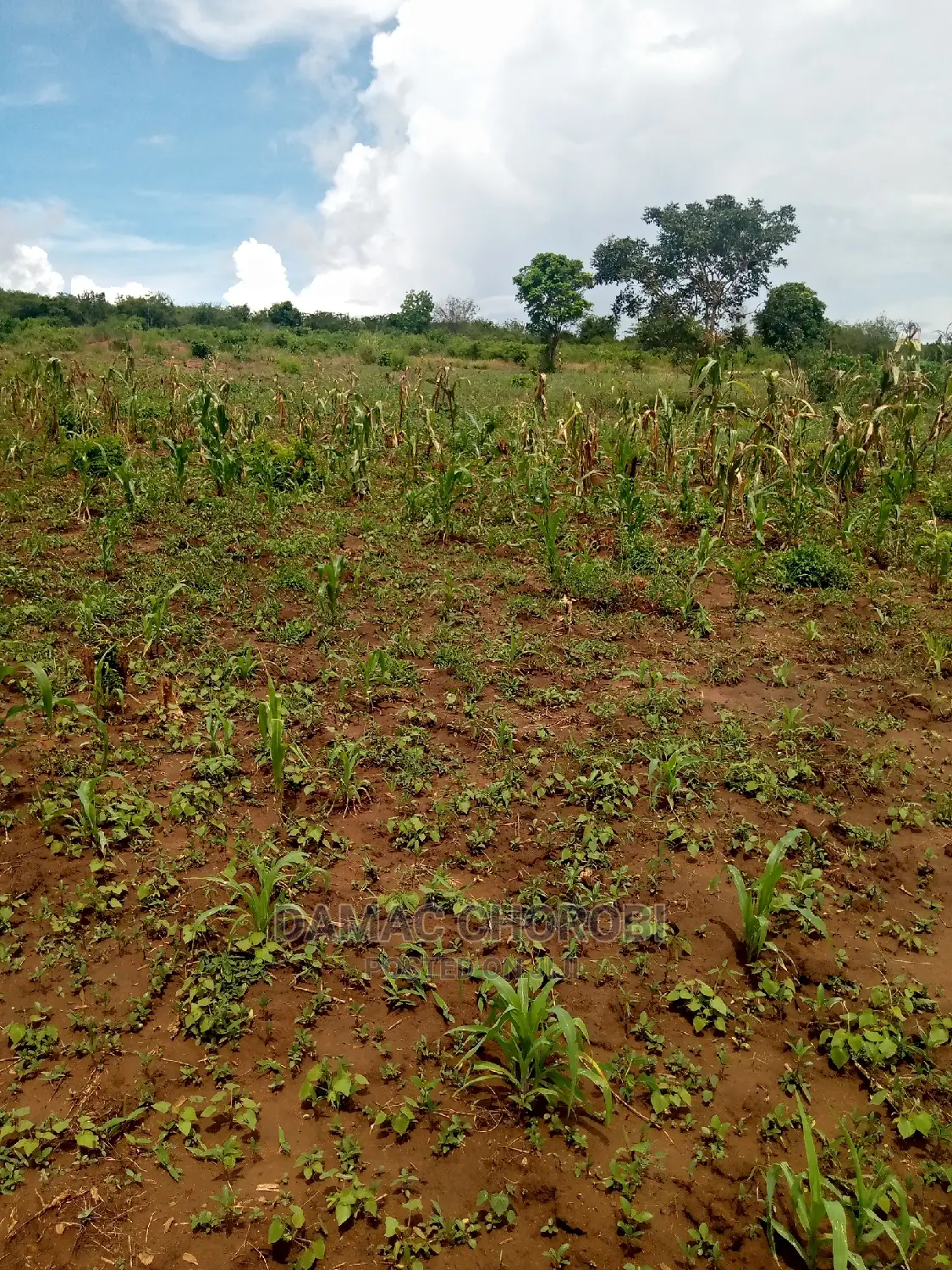 Acre 500 Mbwewe Bagamoyo for Sale