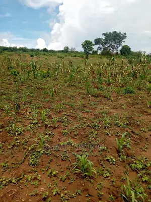 Acre 500 Mbwewe Bagamoyo for Sale