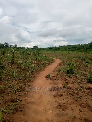 Acre 500 Mbwewe Bagamoyo for Sale