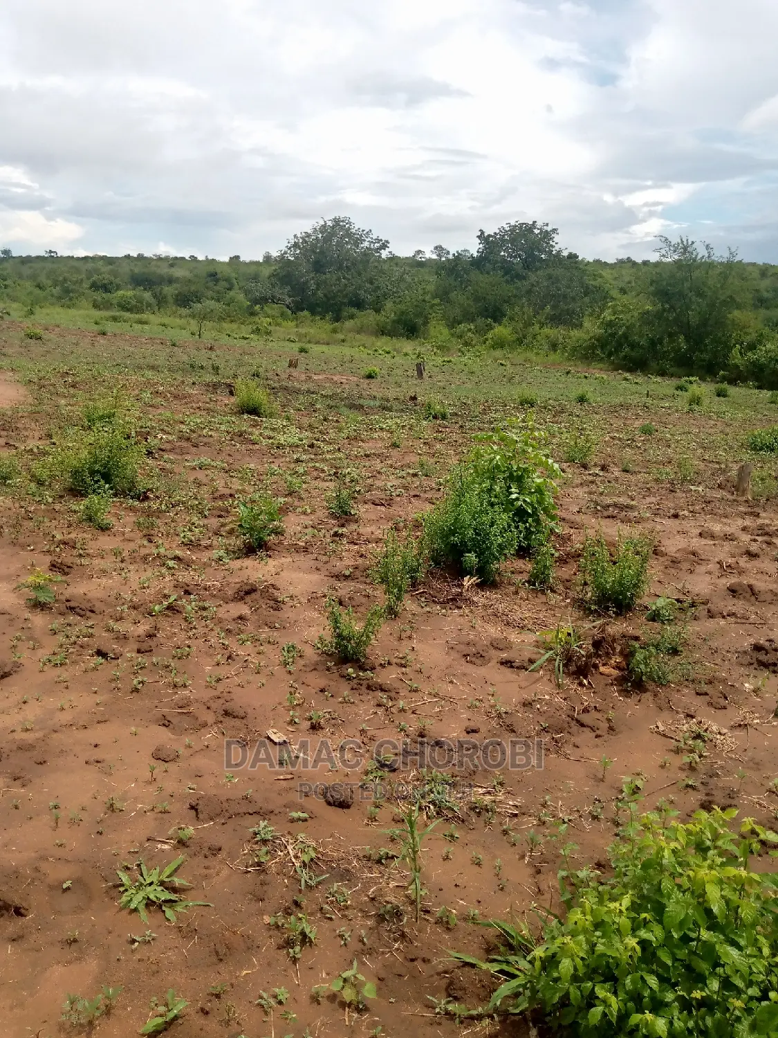 Acre 500 Mbwewe Bagamoyo for Sale