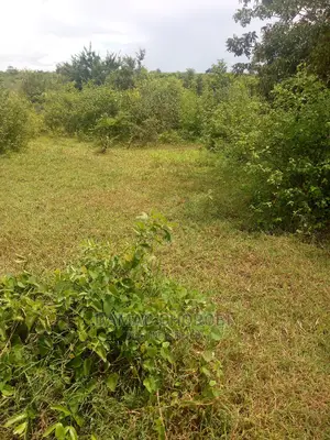 Acre 500 Mbwewe Bagamoyo for Sale