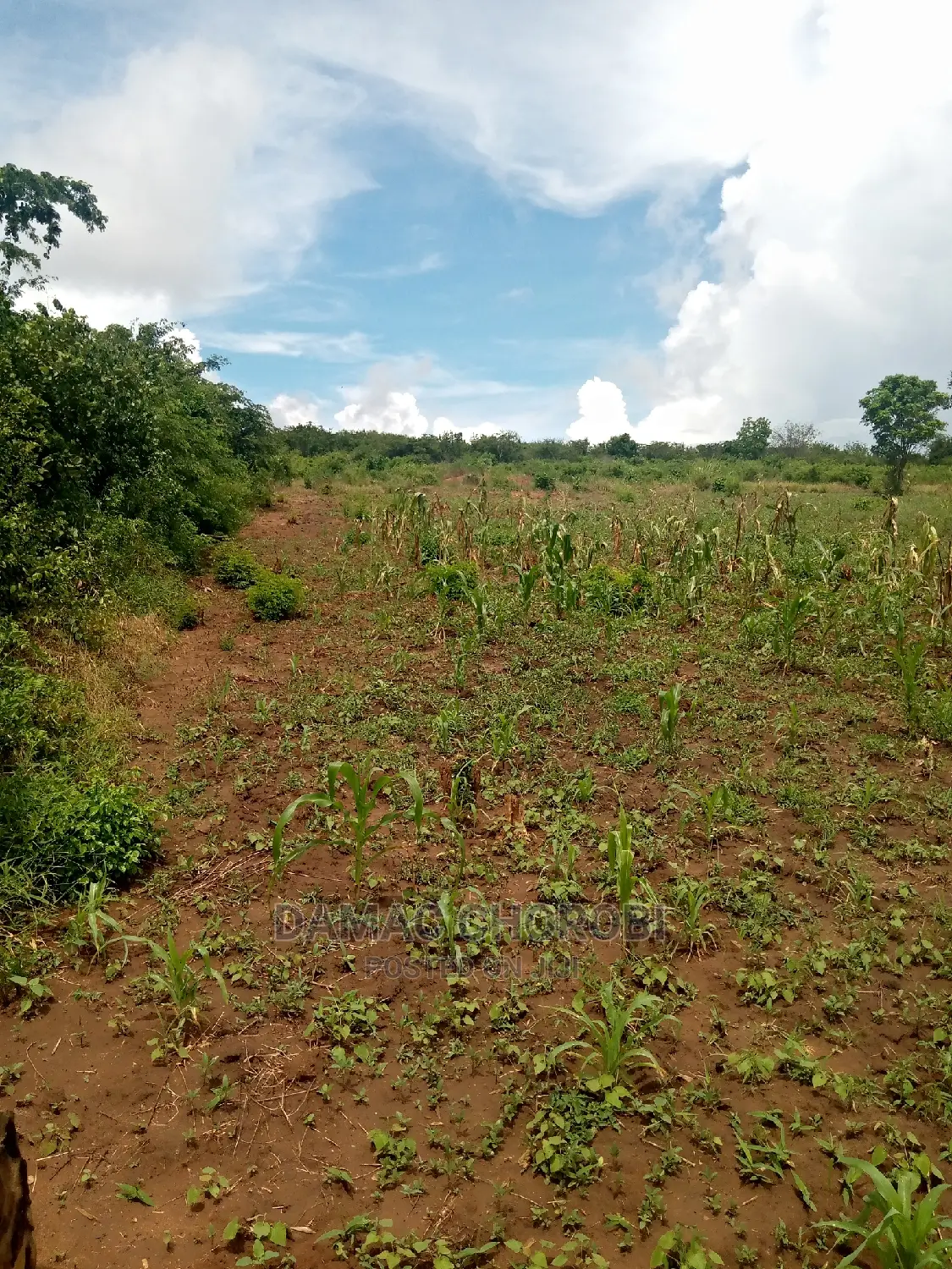 Mashamba Bora Acre 5 Kwa Milion 1 Tu Wahi Sasa Mvua
