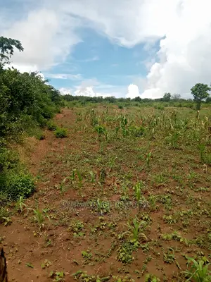 Mashamba Bora Acre 5 Kwa Milion 1 Tu Wahi Sasa Mvua
