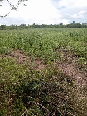 Mashamba Bora Acre 5 Kwa Milion 1 Tu Wahi Sasa Mvua