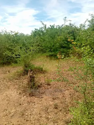 Mashamba Bora Acre 5 Kwa Milion 1 Tu Wahi Sasa Mvua