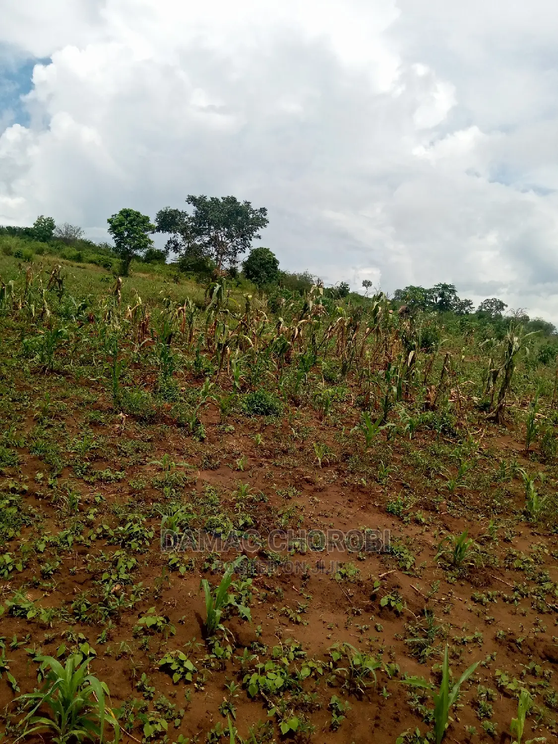 Mashamba Bora Acre 5 Kwa Milion 1 Tu Wahi Sasa Mvua