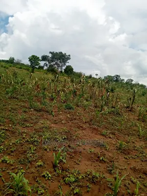 Mashamba Bora Acre 5 Kwa Milion 1 Tu Wahi Sasa Mvua