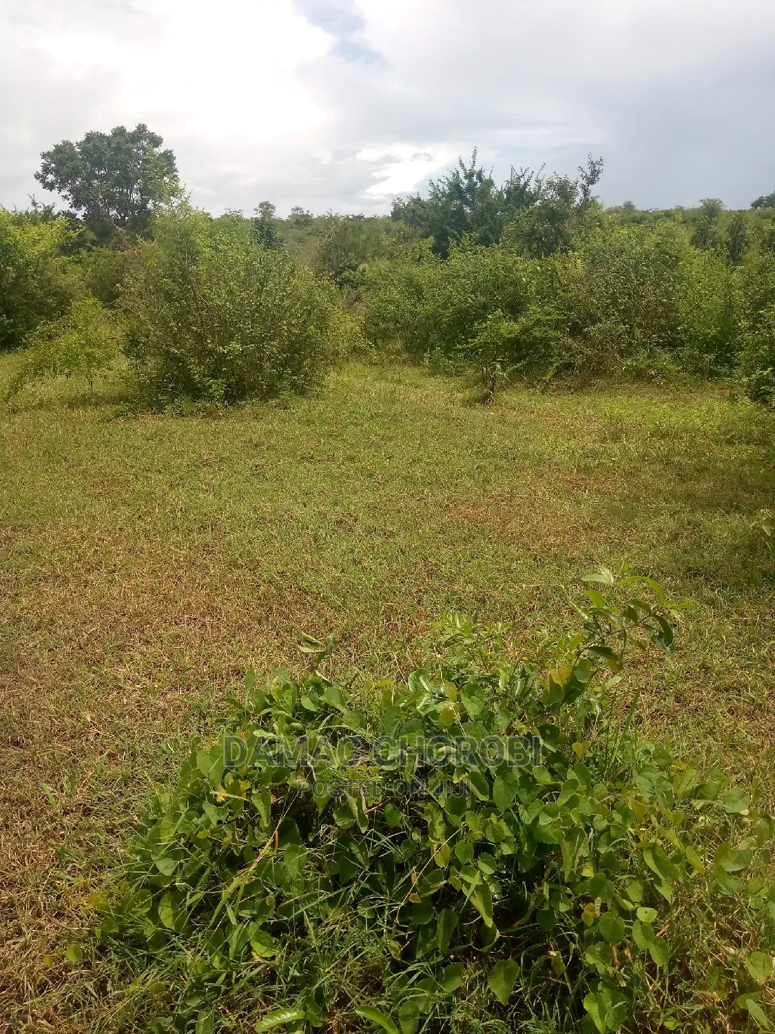 Acre 500 Mbwewe Bagamoyo for Sale