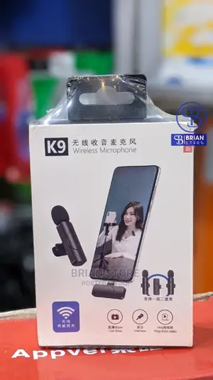 Wireless Microphone Double Microphone