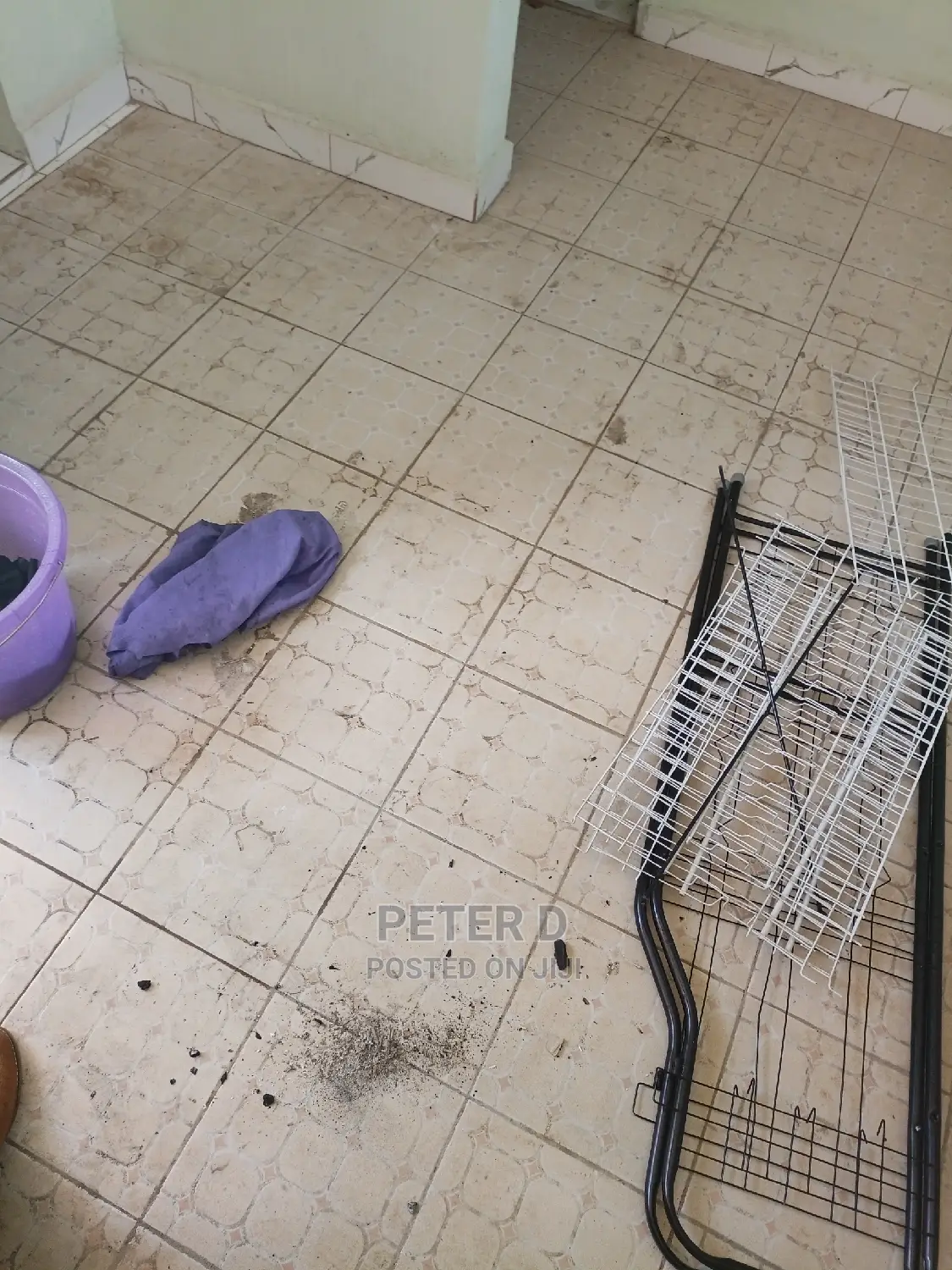 1bdrm Apartment in Kimara for Rent
