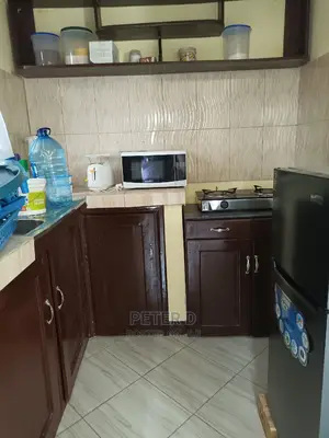1bdrm Apartment in Mikocheni for rent