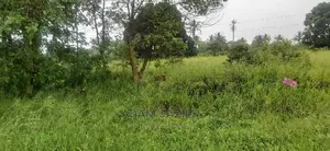 Eneo La Barabarani Linauzwa Bago Kiwangwa