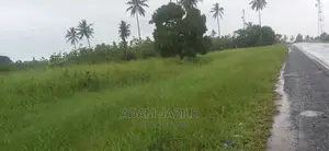 Eneo La Barabarani Linauzwa Bago Kiwangwa