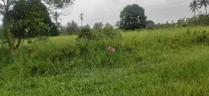 Eneo La Barabarani Linauzwa Bago Kiwangwa