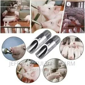 Pig Nipple Automatically