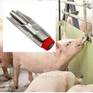 Pig Nipple Automatically