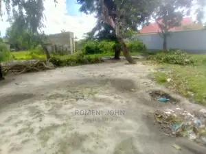Eneo La Makazi Na Biashara Linauzwa Milioni 28.5