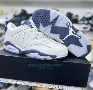 Brand New Jordan 6 Low