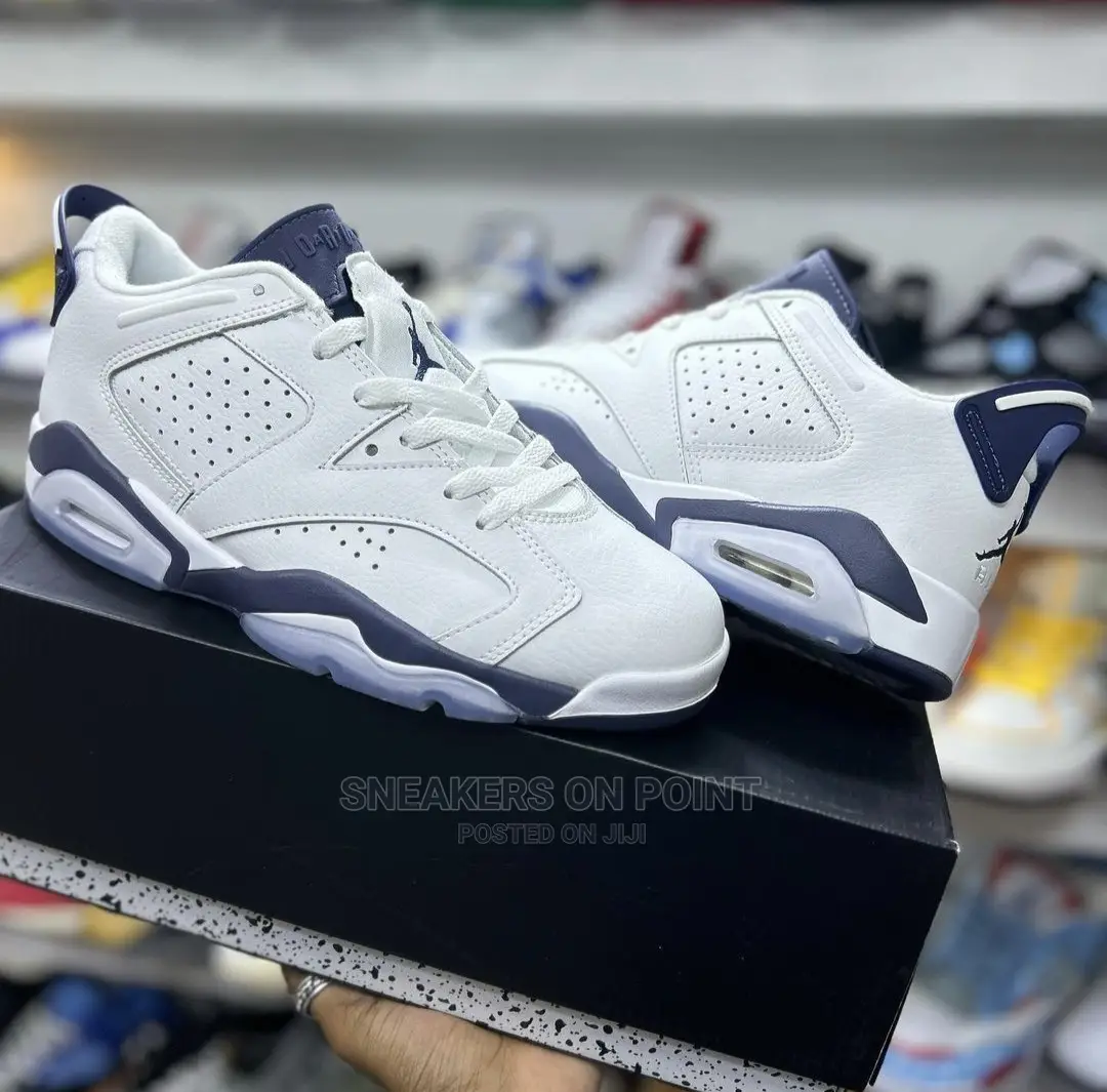 Brand New Jordan 6 Low