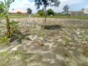 Eneo La Kibiashara Na Makazi Linauzwa Milioni 18.5 Bombambil