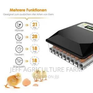 We Sell 60 Eggs Incubator