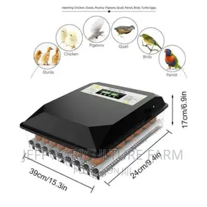 We Sell 60 Eggs Incubator