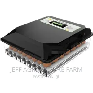 We Sell 60 Eggs Incubator