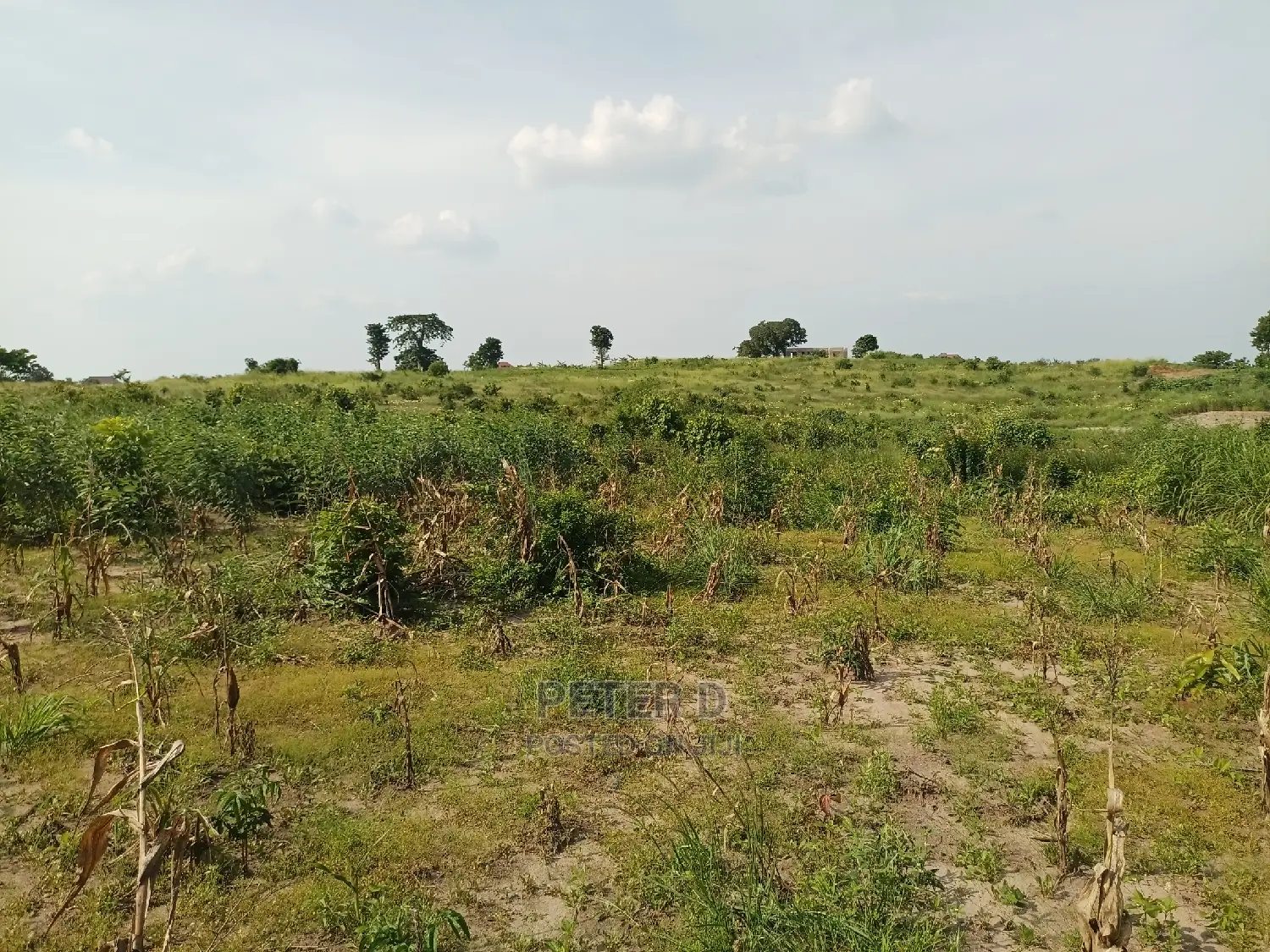 Kibaha Land