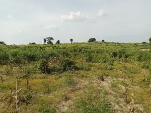 Kibaha Land