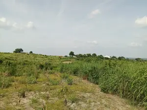 Kibaha Land