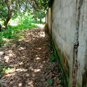 Eneo La Kibiashara Linauzwa Milioni 550heka 3 Kibaha.