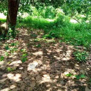Eneo La Kibiashara Linauzwa Milioni 550heka 3 Kibaha.