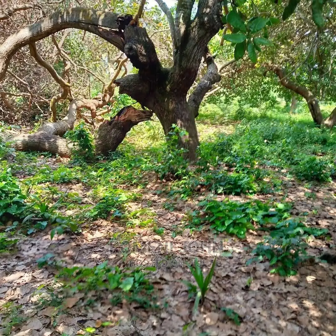 Eneo La Kibiashara Linauzwa Milioni 550heka 3 Kibaha.